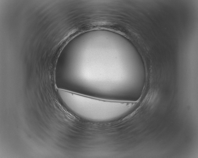 X0000077991305200610270936