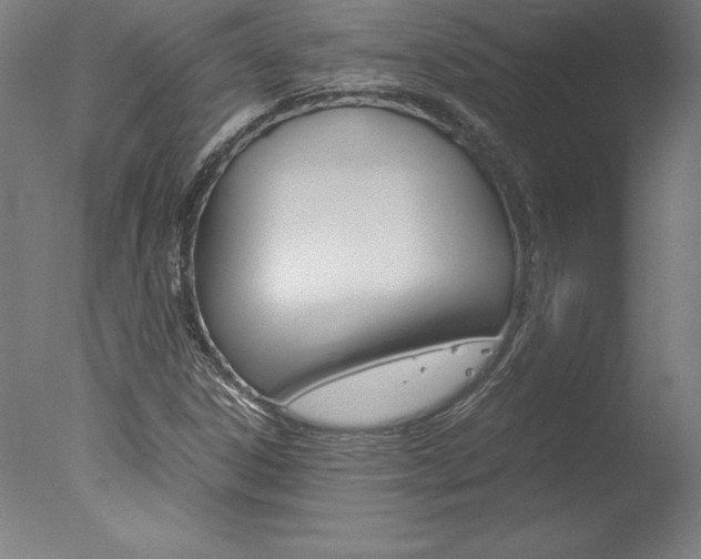 X0000077991306200610270936