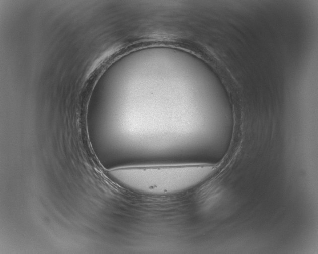 X0000077991307200610270936