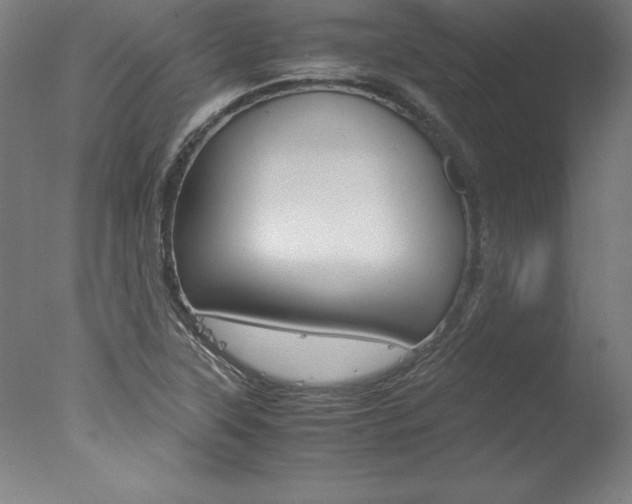 X0000077991315200610270936