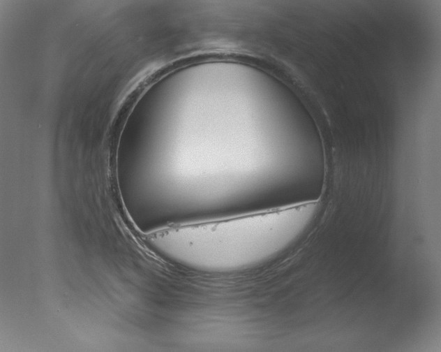 X0000077991318200610270936