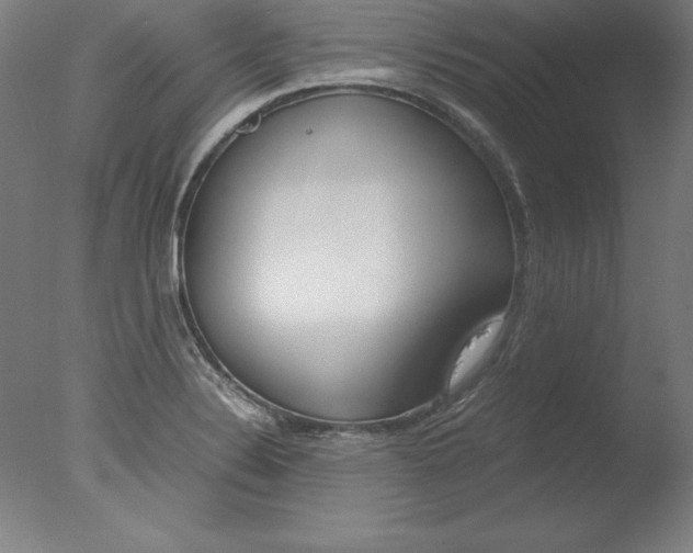 X0000077991324200610270937