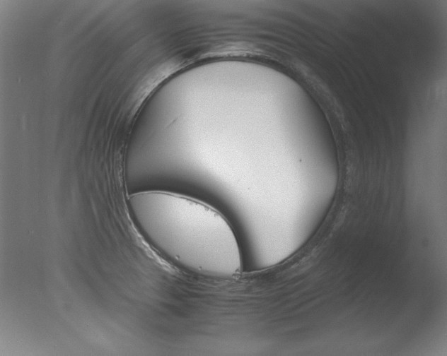 X0000077991329200610270937
