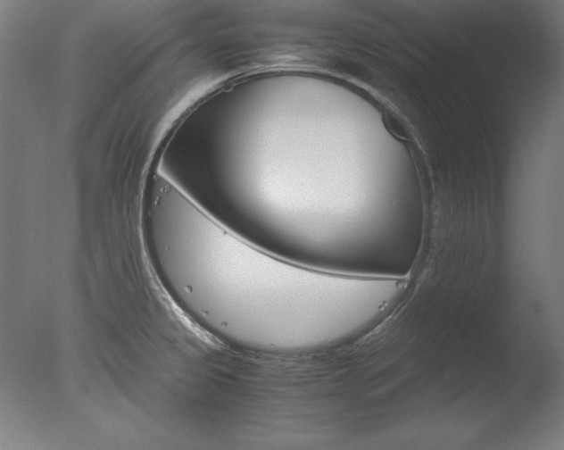 X0000077991333200610270937