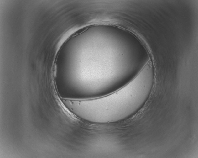 X0000077991344200610270937