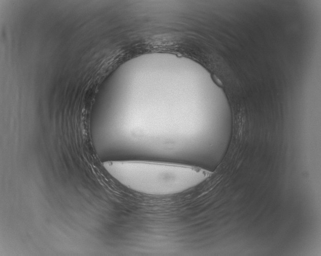X0000077991346200610270936