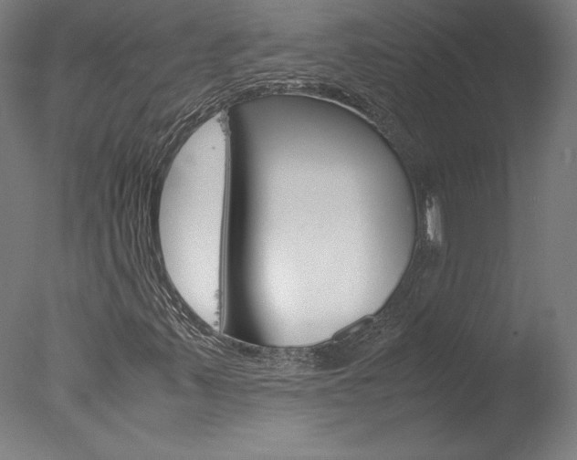 X0000077991347200610270936