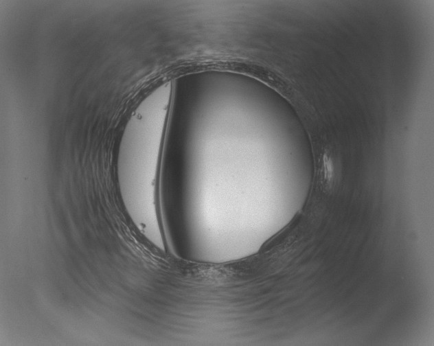 X0000077991348200610270936