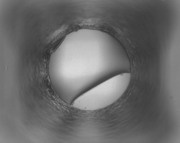 X0000077991350200610270936