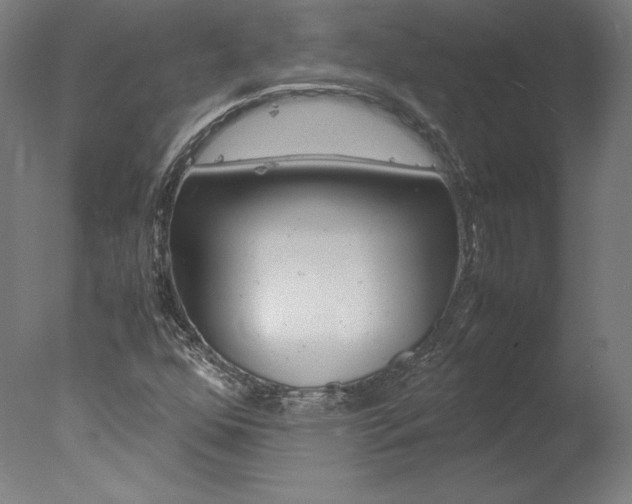 X0000077991352200610270936