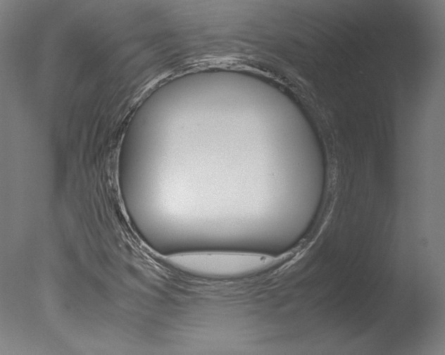 X0000077991353200610270936