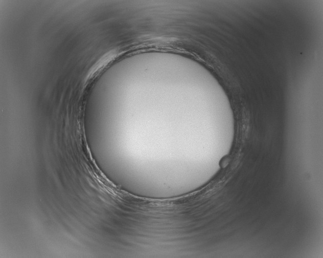 X0000077991354200610270936