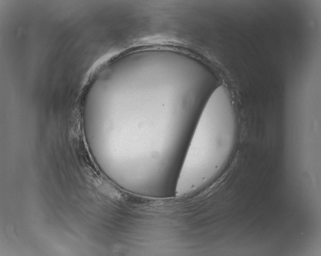 X0000077991358200610270936