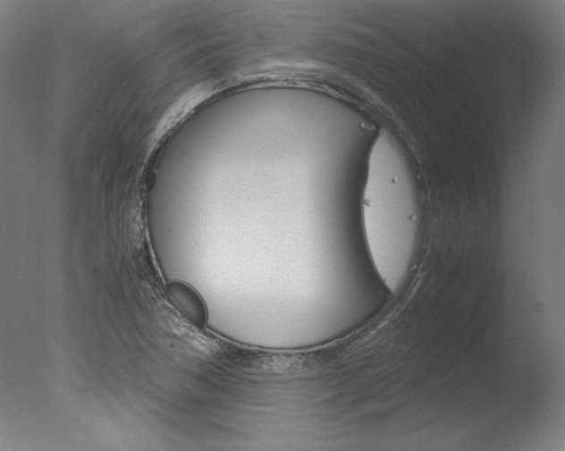X0000077991362200610270936