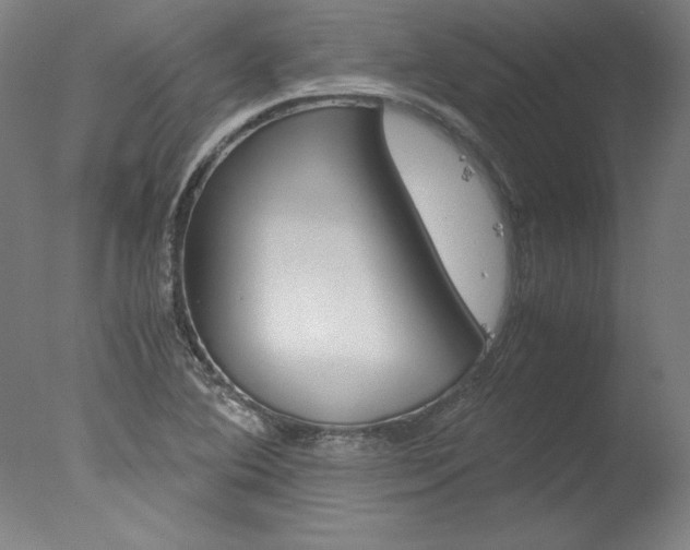 X0000077991364200610270936