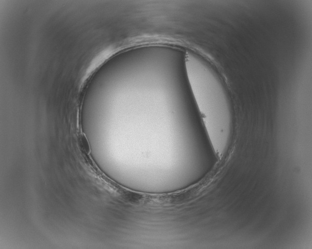 X0000077991365200610270936