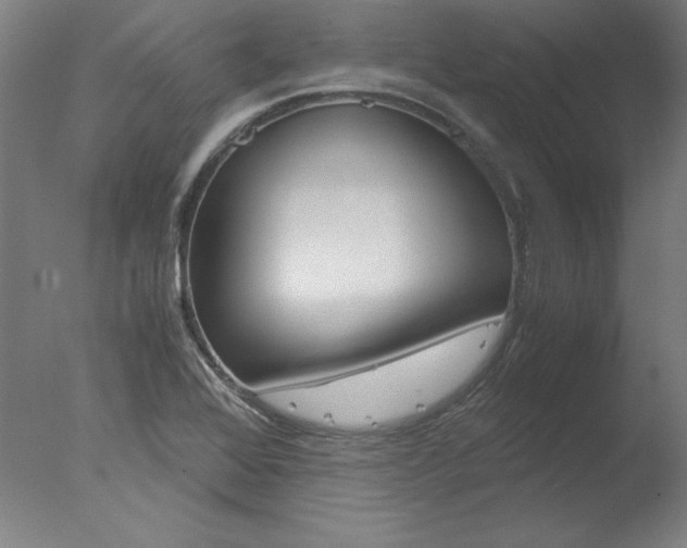 X0000077991368200610270936