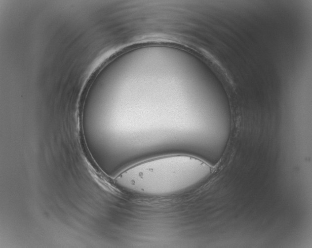 X0000077991372200610270936