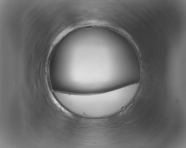 X0000077991381200610270935