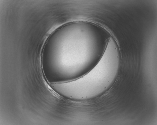 X0000077991388200610270935