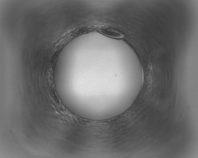 X0000077991397200610270935