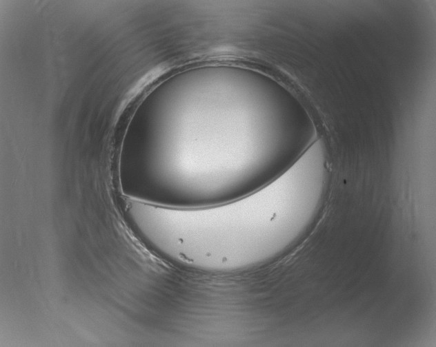 X0000077991410200610270935