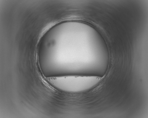 X0000077991413200610270935