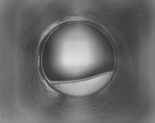 X0000077991414200610270935