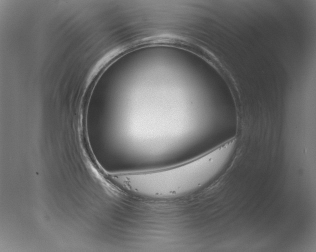 X0000077991418200610270935