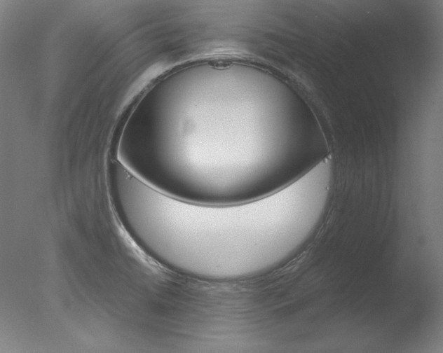 X0000077991422200610270935