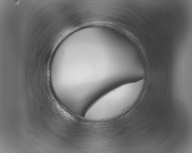 X0000077991428200610270935