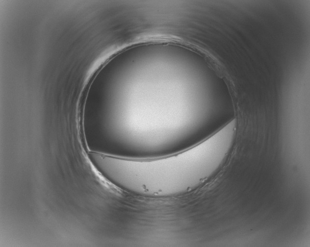 X0000077991430200610270935