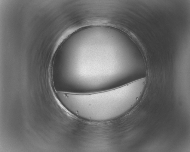 X0000077991432200610270935