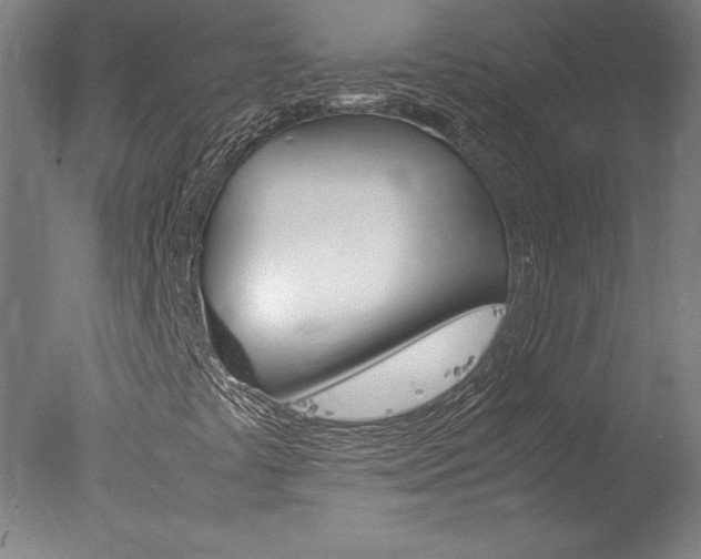 X0000077991441200610270934