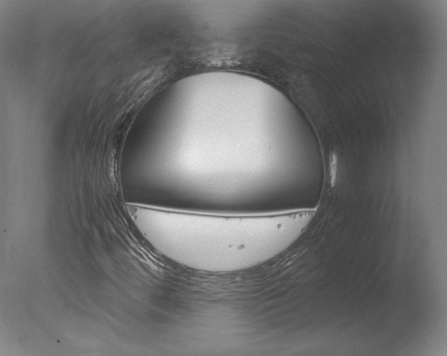 X0000077991444200610270934
