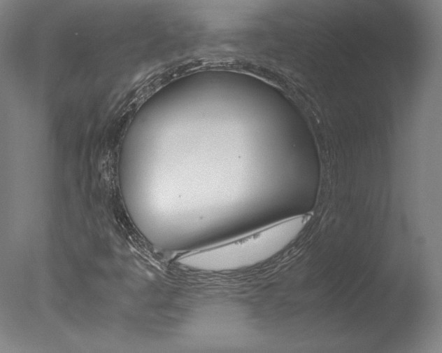 X0000077991445200610270934