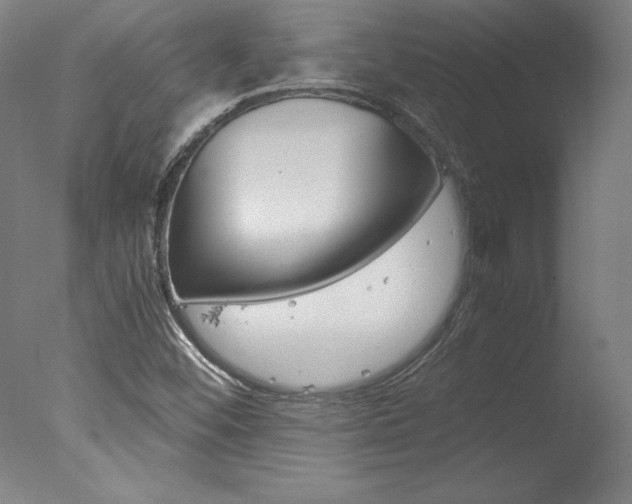 X0000077991452200610270934