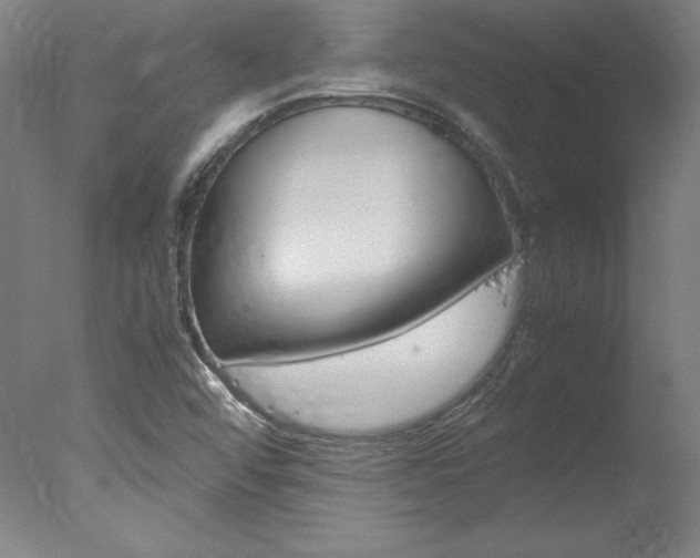 X0000077991456200610270934