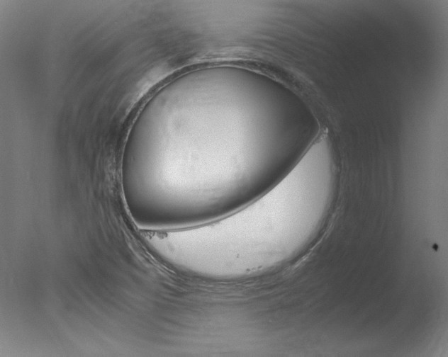 X0000077991457200610270934