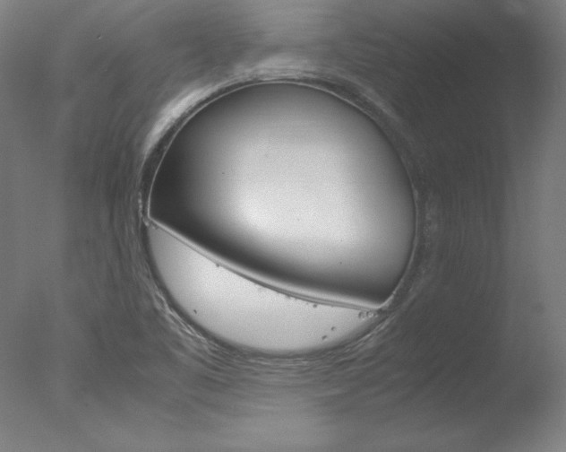 X0000077991461200610270934