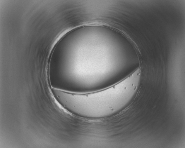 X0000077991484200610270934