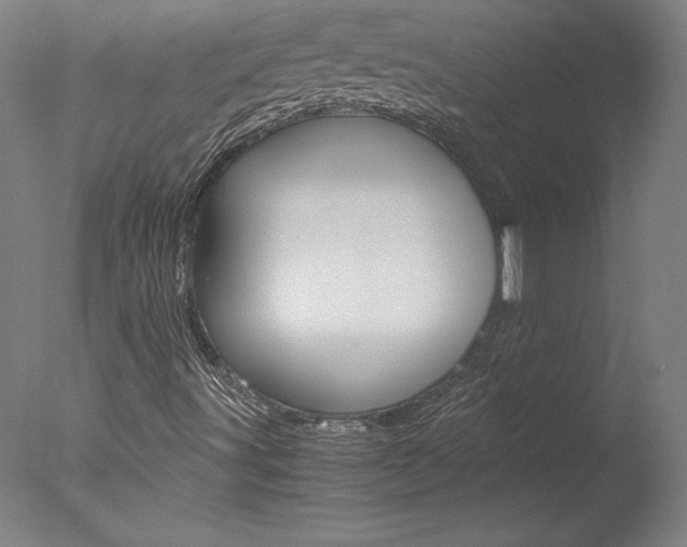 X0000077991491200610270933