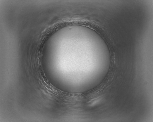 X0000077991493200610270933