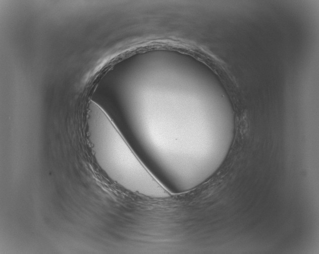 X0000077991496200610270933
