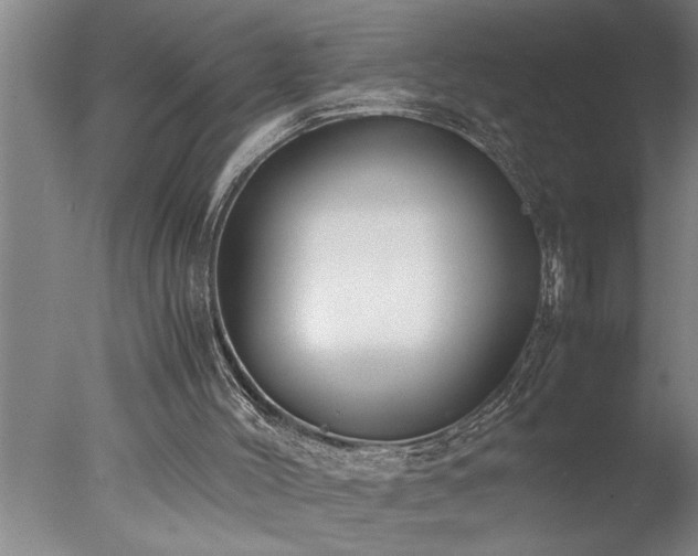 X0000077990004200610271122