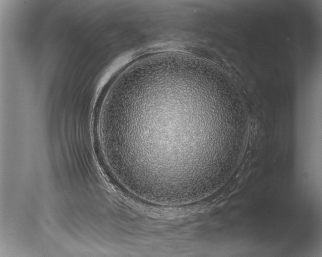 X0000077990006200610271122