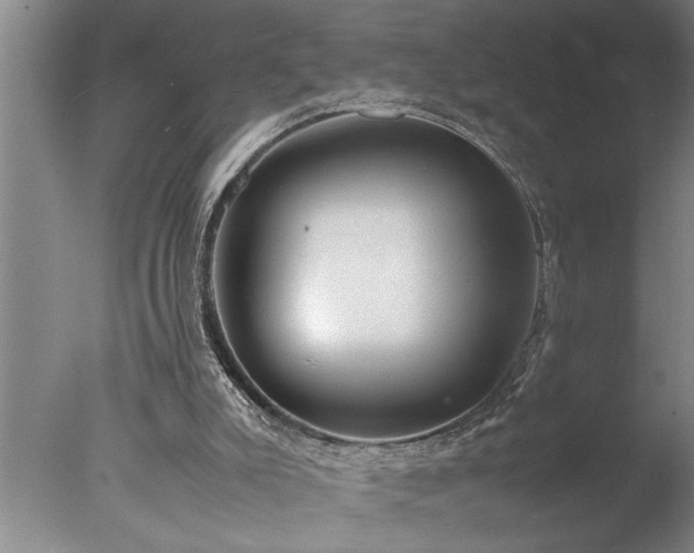 X0000077990007200610271122