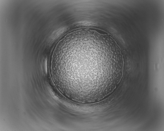 X0000077990014200610271122