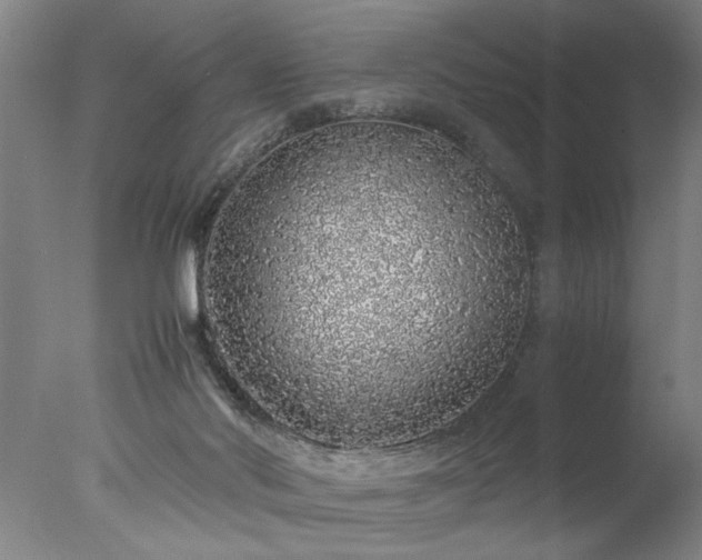 X0000077990022200610271122