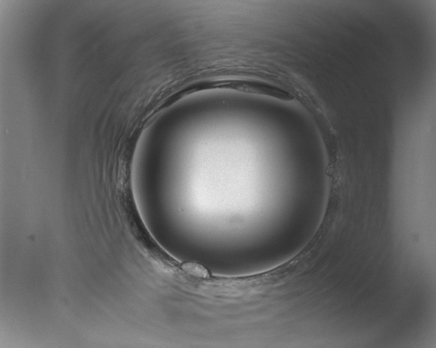 X0000077990025200610271122